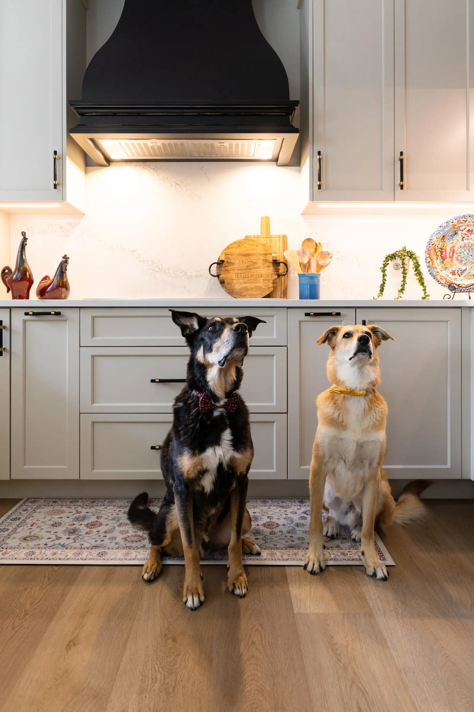 Italiano Bellissima Kitchen — photograph 18